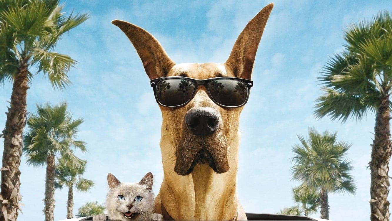 Marmaduke - pies na fali caly film Zalukaj.film