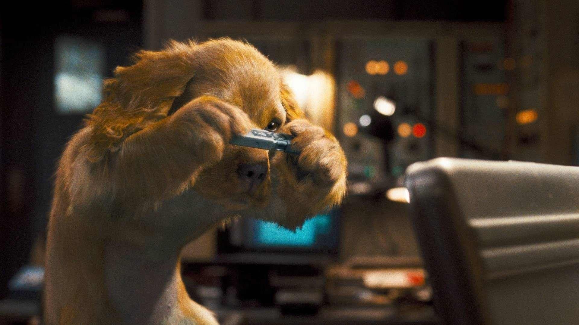 Psy i koty: Odwet Kitty caly film Zalukaj.film