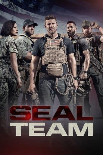 SEAL Team online
