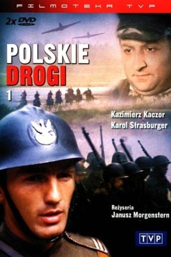 Polskie drogi online