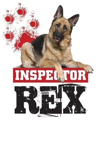Komisarz Rex online