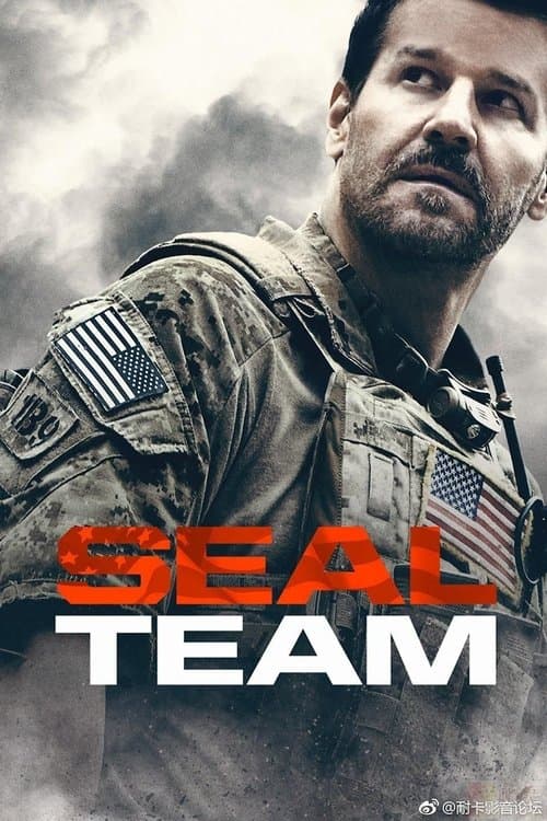 SEAL Team online