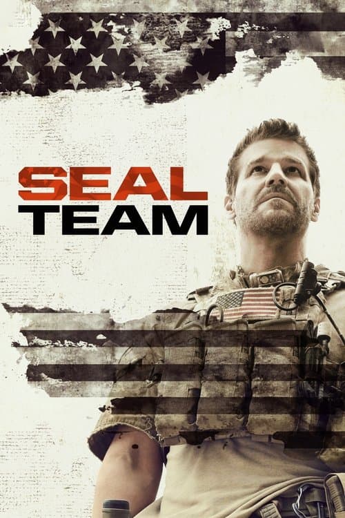 SEAL Team online
